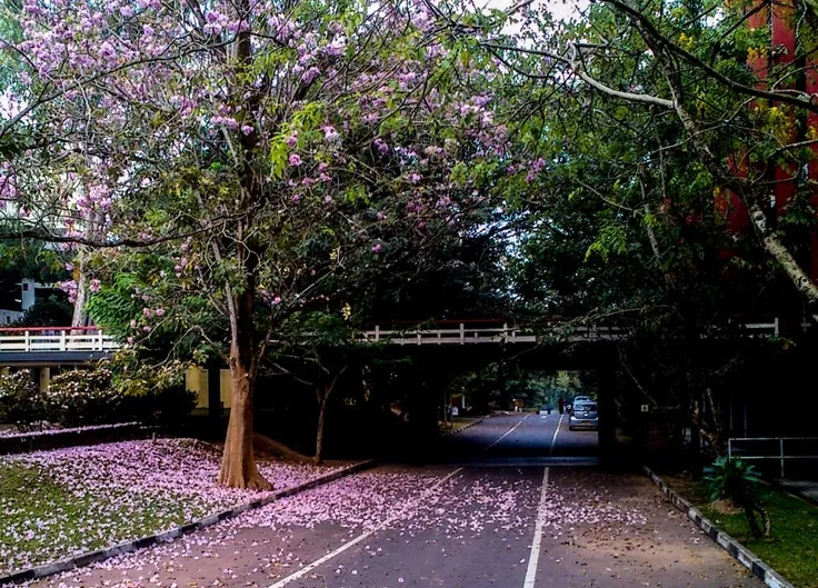 University of Moratuwa